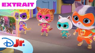 SuperChatons - Extrait : Il faut sauver les canards !