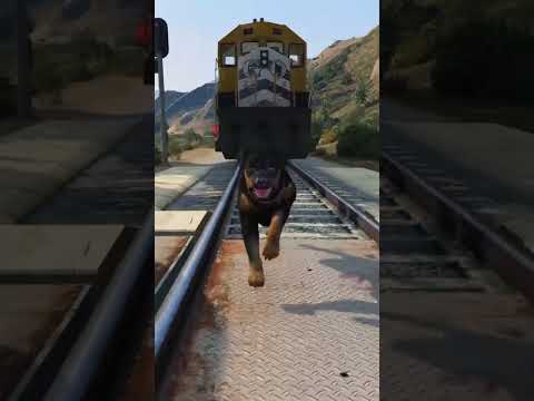 speed race between train and animals in gta 5 #gta #gaming #gta5