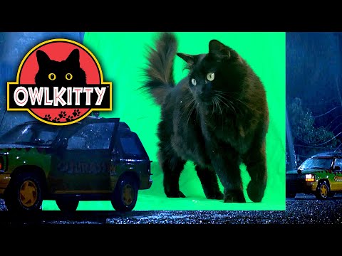 Jurassic Park with a Cat โ Behind the Scenes