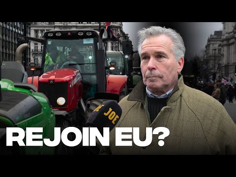 Has Brexit ruined British farming forever?