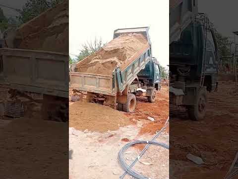 một con vịt