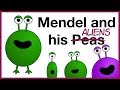 Exploring Mendel's Experiments in Heredity