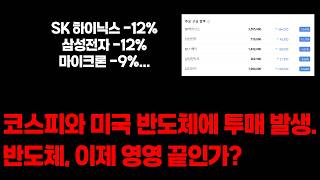 코스피 -10%, 미국 반도체 -5% 충격적인 투매 발생. 반도체, 이대로 끝인가.