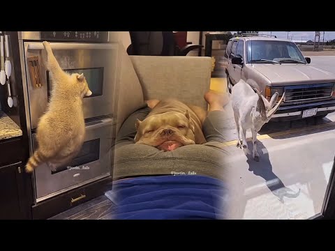 Epic fails🤣