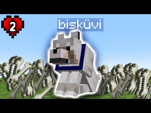 Minecraft'ta Ölen Köpeğimin Geri Gelmesinin Hikayesi - SMP Bölüm 2