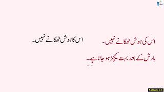 Urdu Sentence Correction غلط فقرات کی درستی