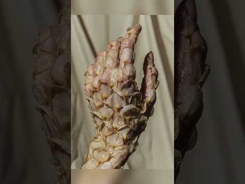 أكثر الصور الغريبة على الإنترنت 🤯😳 جزء 137