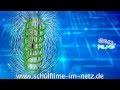 Magnetismus und Elektromagnetismus Konzepte