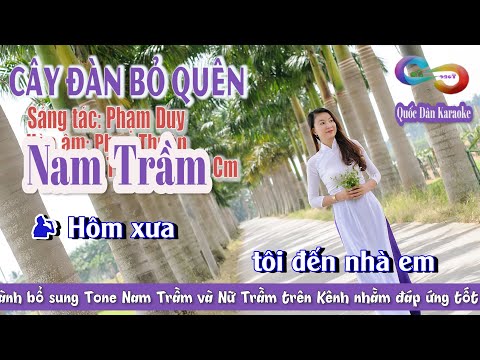 Karaoke Cây Đàn Bỏ Quên | Rumba | Tone Nam Trầm (Cm,Tp:110) | Quốc Dân Karaoke