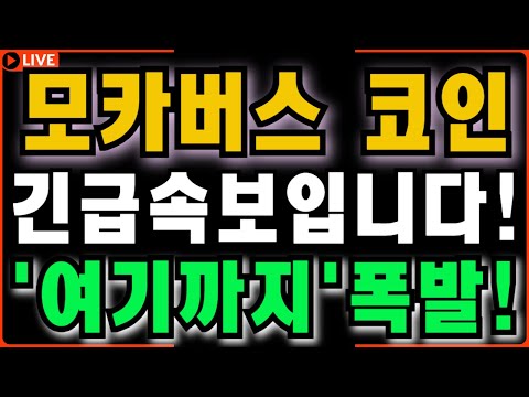 🔴[모카버스 전망] [긴급]🔥긴급속보입니다!!🔥"여기까지" 폭발!!🔥