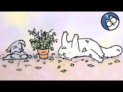Brotherly Love ❤️  | Cat & Kitten | Simon's Cat Extra