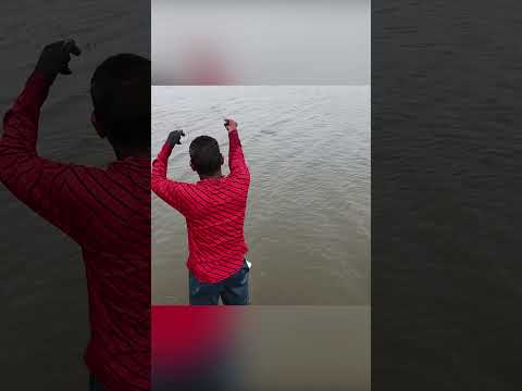 The Mullet Whisperer: How I Talk Fish Into My Bottle Trap #fishing #handfish #fishingtechniques