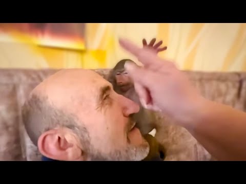 Я СТРАШНО РУГАЮСЬ и посмотрите как Люська смешно реагирует!