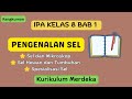 Kuis Pengenalan Sel