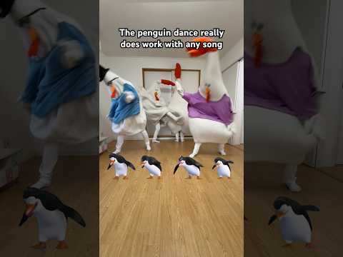 [The Penguins dance] I thought it was a cool sound but it was my mom #abracadabra #ladygaga #penguin
