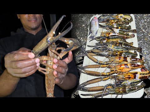 NIGHT FISHING FOR WORLD RECORD FRESHWATER PRAWN