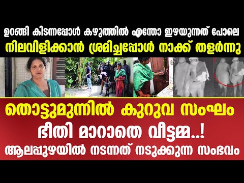 നിലവിളിക്കാൻ ശ്രമിച്ചപ്പോൾ നാക്ക് തളർന്നു തൊട്ടുമുന്നിൽ കുറുവ, ഭീതി മാറാതെ വീട്ടമ്മ| Mallu insider