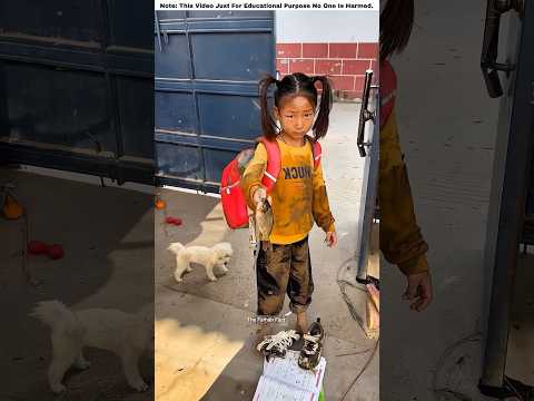 She Brought Crabs.Then Grass Then Painted a Rooster 😱 | #shortvideo