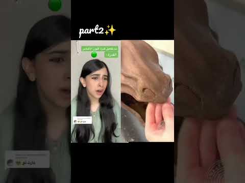 جيلي السحري part 2😨✨