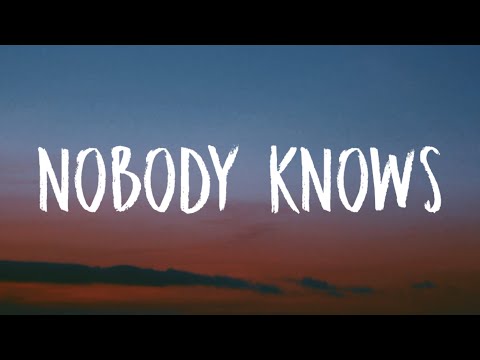 Shawn Mendes - Nobody Knows (Lyrics)