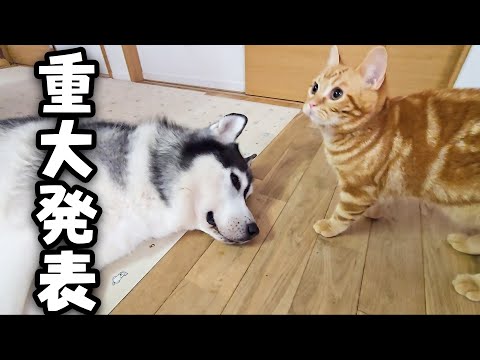 みなさまにご報告があります...