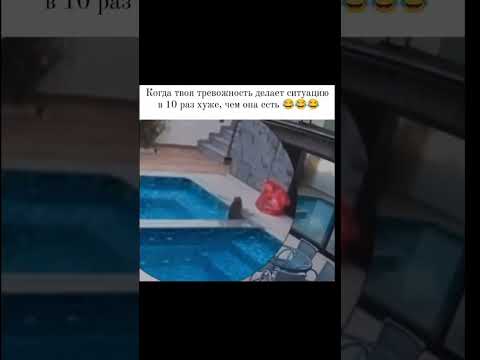Есть тут тревожные?Когда сценарий катастрофы уже в голове, а тело ещё даже не проснулось...
