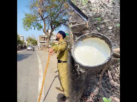 Police Inspector Ne Bacha Liya ~ Sujal Thakral #shorts #ytshorts #youtubeshorts #funny #police