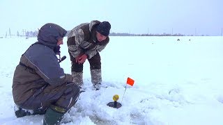 видео