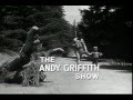 The Andy Griffith Show Characters and Elements