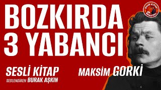 Sesli Kitap - Bozkırda Üç Yabancı - Maksim Gorki - Tam Metin Türkçe Sesli Kitap