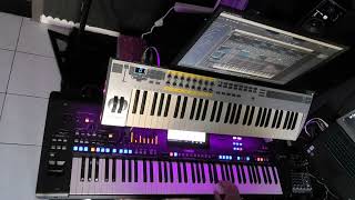 Anyma   Hypnotized feat  Ellie Goulding Cover by Albert