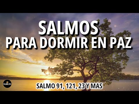 Salmos & Proverbios para dormir en paz | Duerme escuchando la palabra de Dios | Biblia hablada