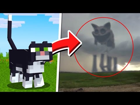 Mobs de Minecraft CAPTADOS EN LA VIDA REAL 😱