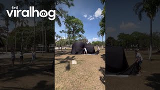 Gender Reveal in an Inflatable Sphere || ViralHog