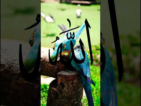 اتحرج أمام الجمهور