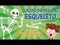 Cuestionario sobre el Cuerpo Humano