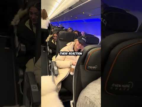 Dog makes friends with everyone on the plane