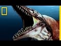 Ancient Marine Creatures and Their Habitats
