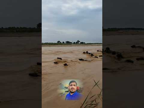 Flash Flood in Punjab Chenab River Overflow water uncontrol in Punjab #ytshorts #flashflood #punjabi