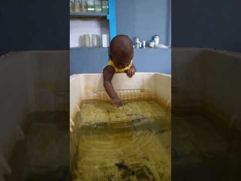 மீன் வியாபாரம் | Aquarium fish Sale