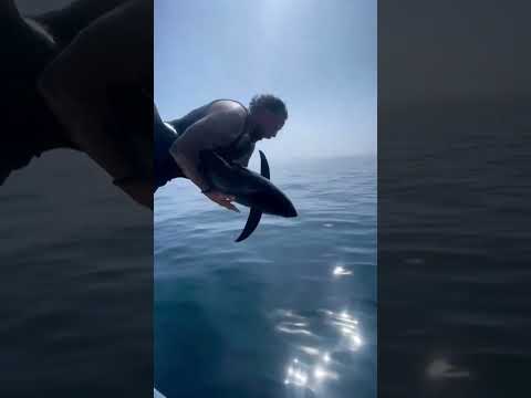 Why Do They Throw Fishes Into The Water?