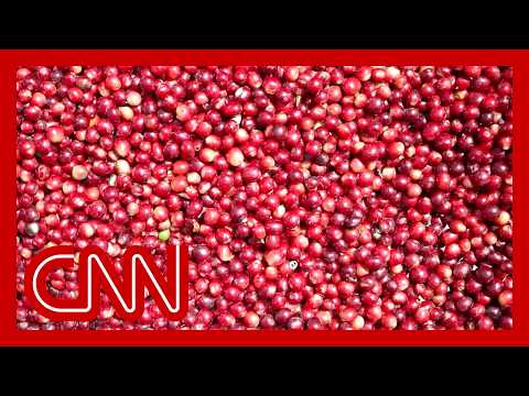 YouTube video thumbnail: America's Coffee Addiction Meets Trump Trade Tariffs