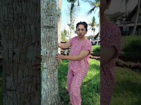 hanya mereka yg tau🤣 #komedi #hiburanlucu #viralshort