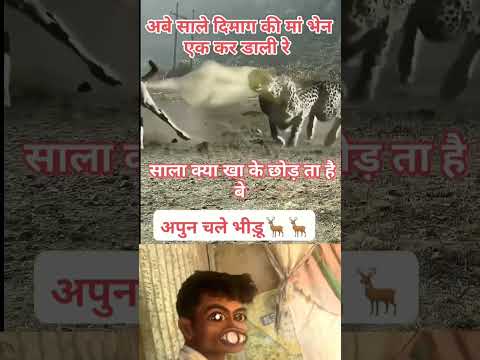 दम है तो हसी रोक के दिखाओ 🤣😂 #youtubeshorts # #funnyshorts #comedyshorts #comedy #funyvido