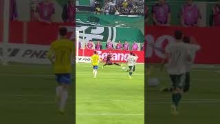 Gol do Paulinho #palmeiras x Chapecoense #futebol