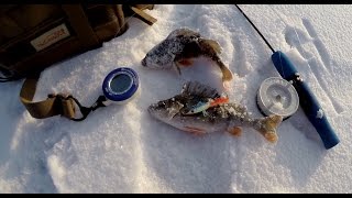 видео
