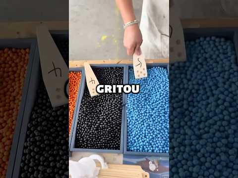 o Karma dá a volta completa