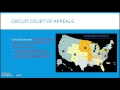 Federal Court System and Procedures