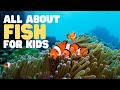 Fish Biology and Characteristics