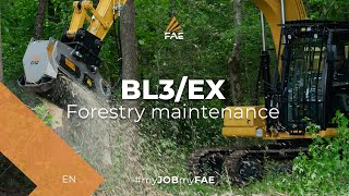 Video - FAE BL3/EX - FAE BL3/EX forestry mulcher in action with a Supertrak SK200MX excavator